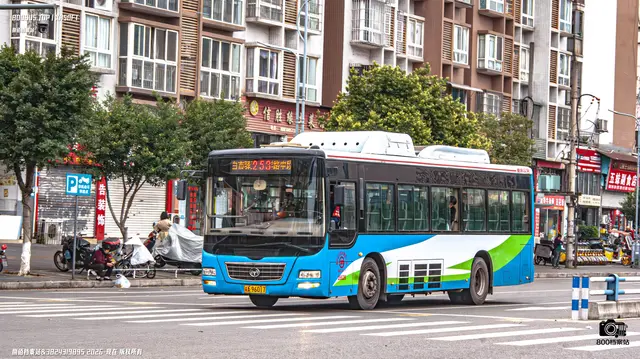 800BUS