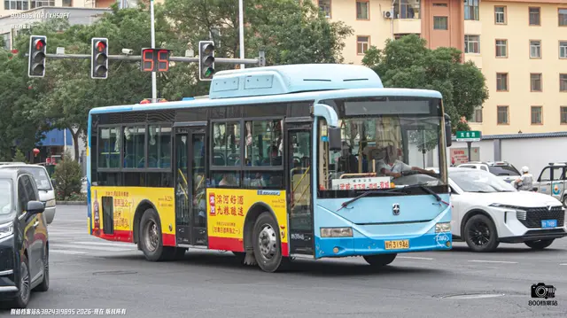 800BUS