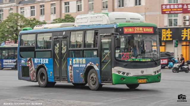 800BUS