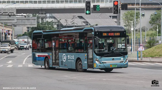 800BUS