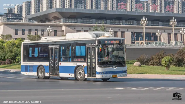 800BUS