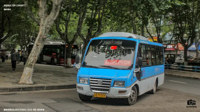 800BUS