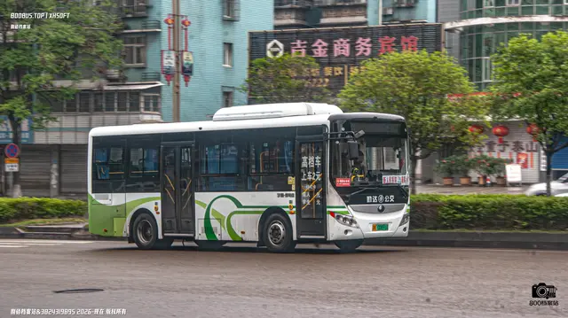 800BUS