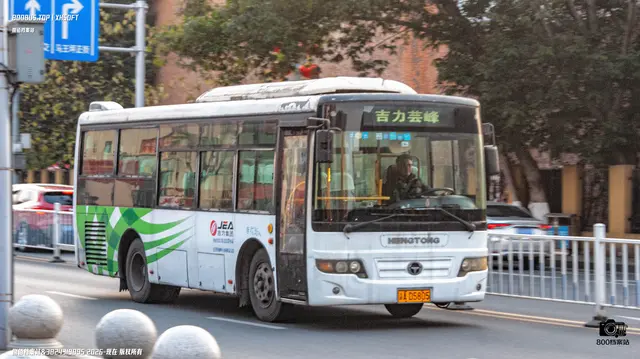 800BUS