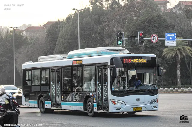 800BUS