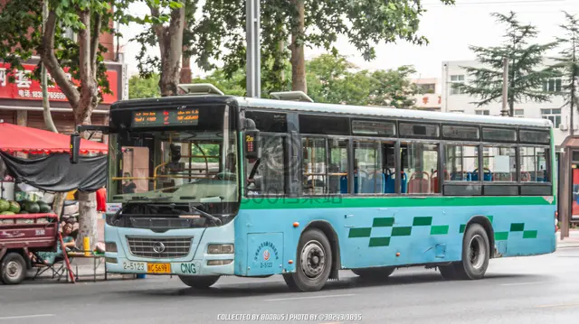 陕C 56981