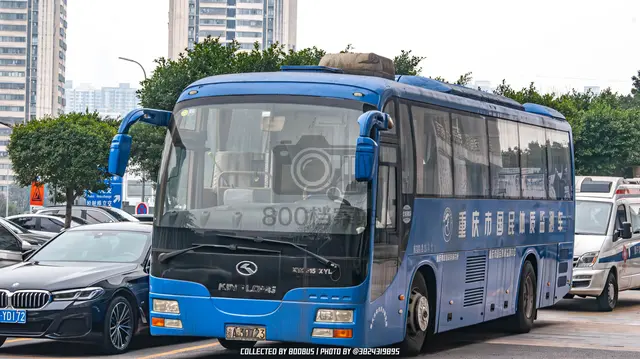 800BUS