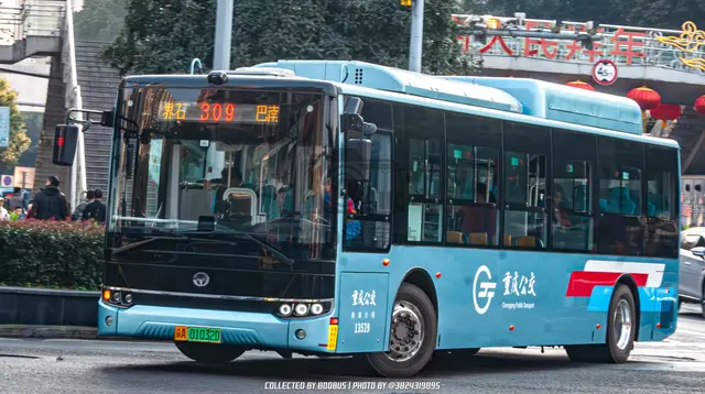 800BUS