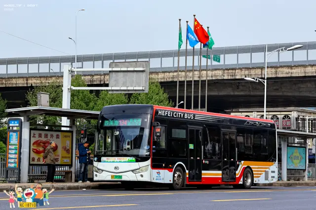 皖A 09598D