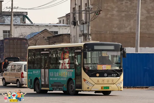 皖C 09565D