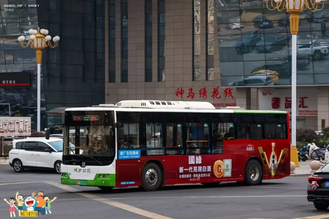 800BUS