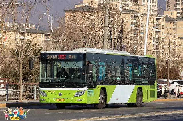800BUS
