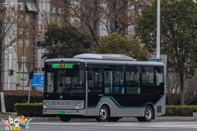 800BUS