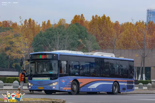 800BUS