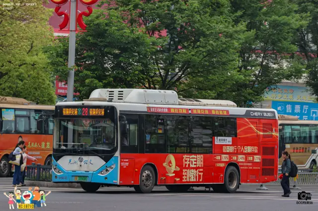 800BUS