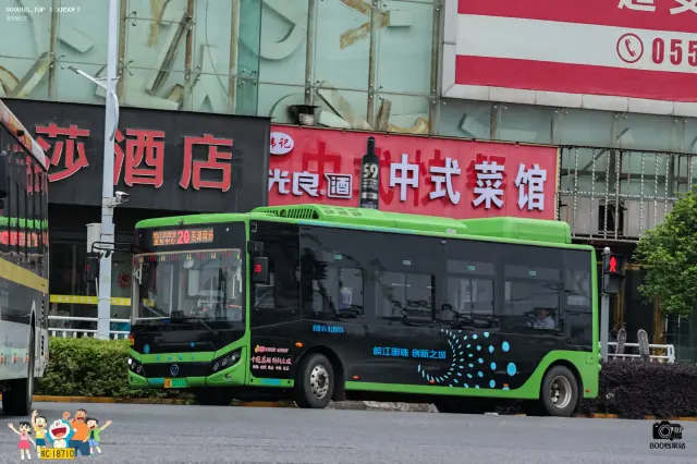 800BUS