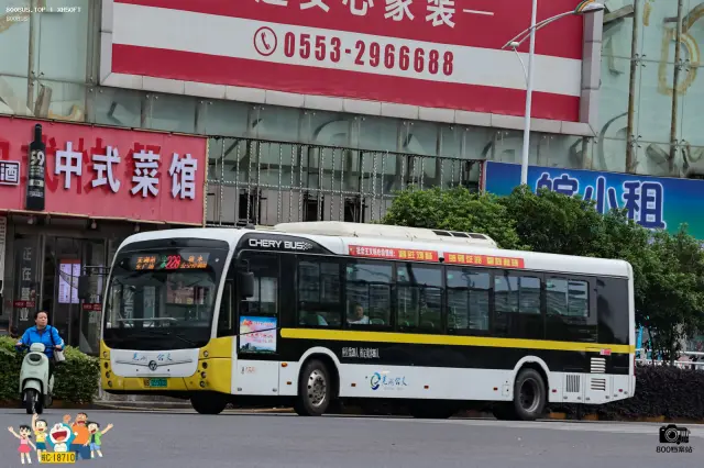 800BUS
