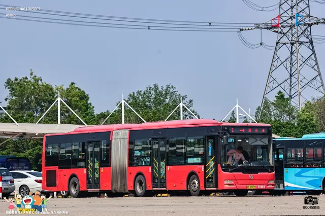 800BUS