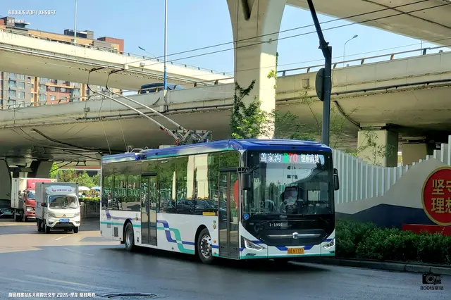 鲁A N1731