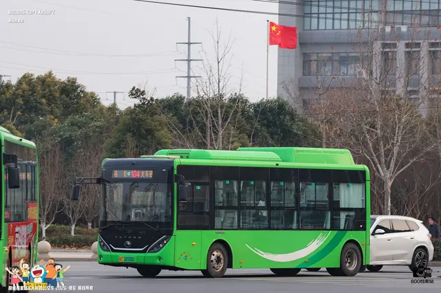 800BUS