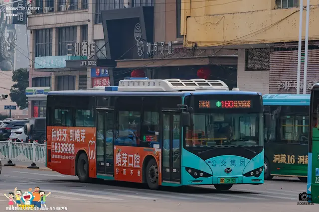 800BUS