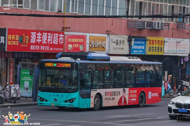 800BUS
