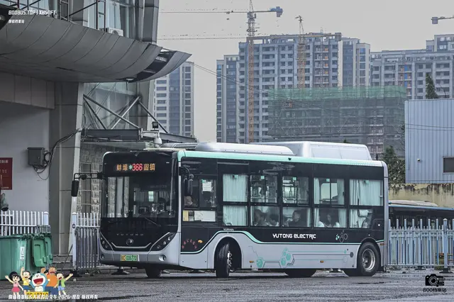 皖C 00677D