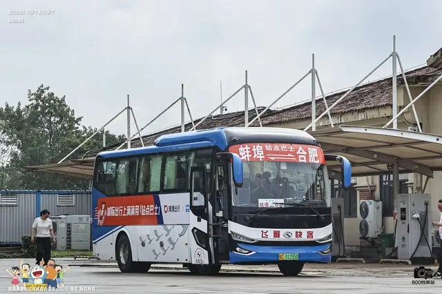 皖C 01255D