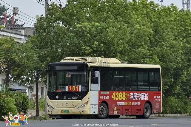 皖C 09525D