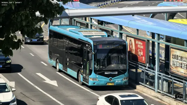 800BUS