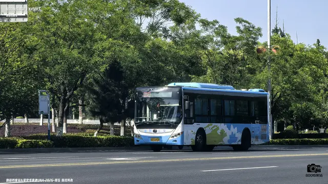 苏A E6918