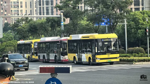 沪A 10793A