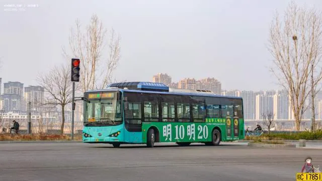 皖C 11666D