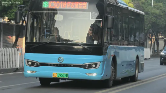 皖C·09557D