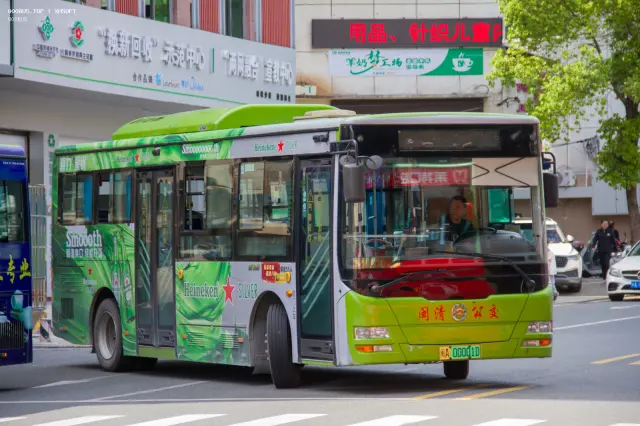 800BUS