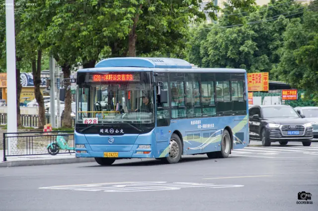 800BUS