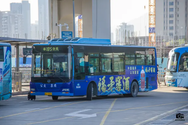800BUS