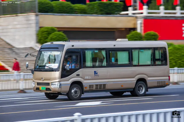 800BUS