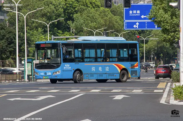 800BUS