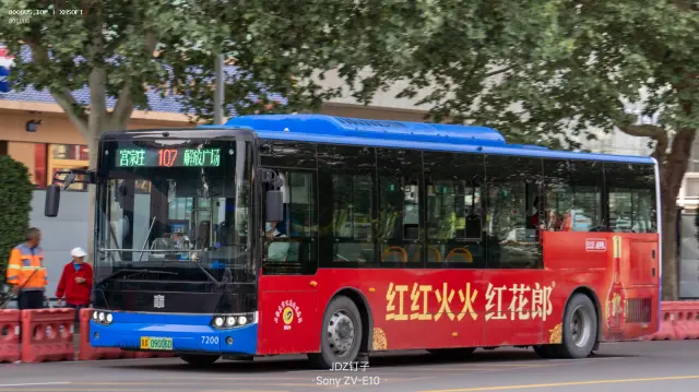 冀A 09006D