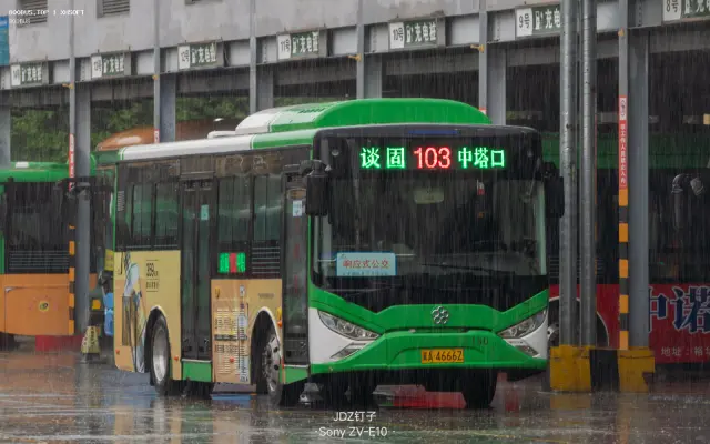 800BUS