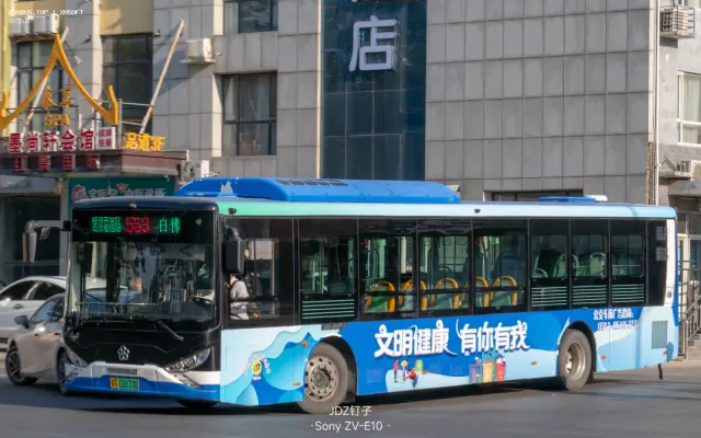 800BUS