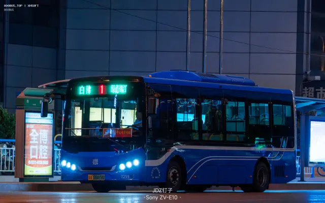 800BUS