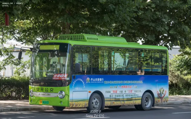 800BUS