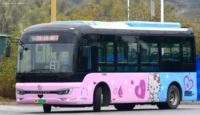 800BUS