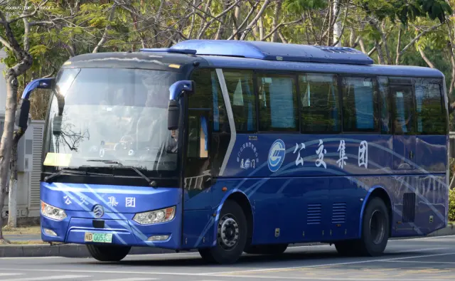 800BUS