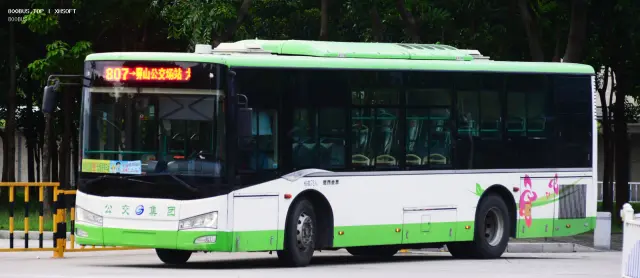 800BUS