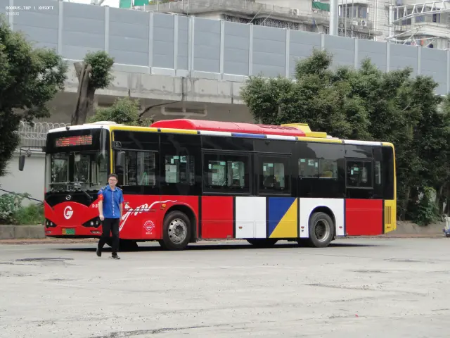 800BUS