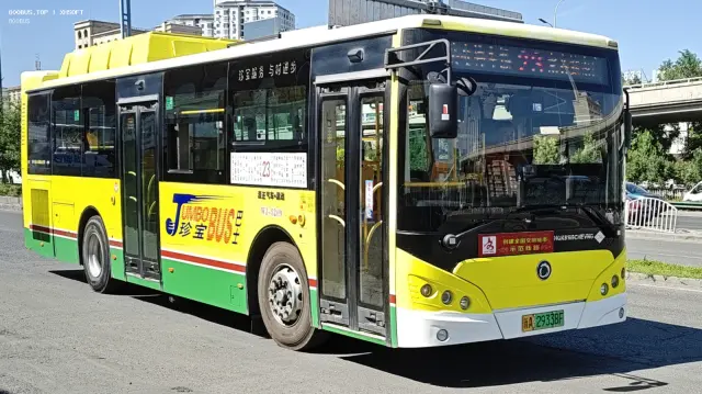 800BUS