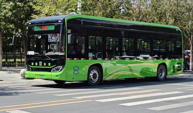 800BUS